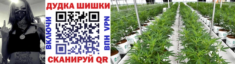 Купить Канабис  Кокаин  Меф мяу мяу  Нюрба