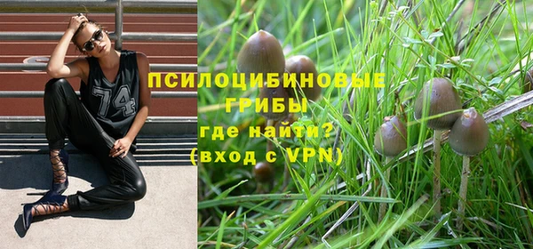 стаф Белокуриха