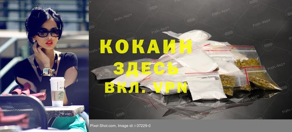 стаф Белокуриха