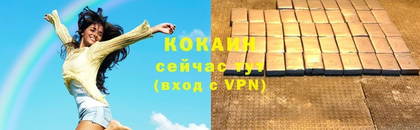 стаф Белокуриха