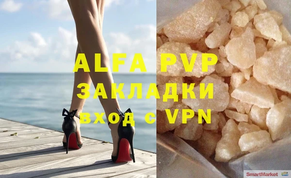 стаф Белокуриха
