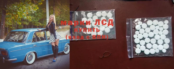 стаф Белокуриха