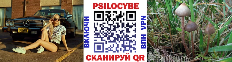 Псилоцибиновые грибы GOLDEN TEACHER  Купить закладки  Нюрба 